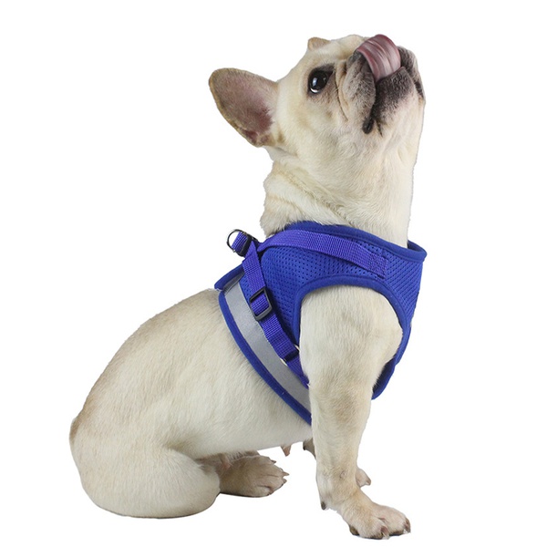 Vest-Type Reflective Pet Leash